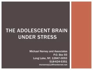 The adolescent brain under stress