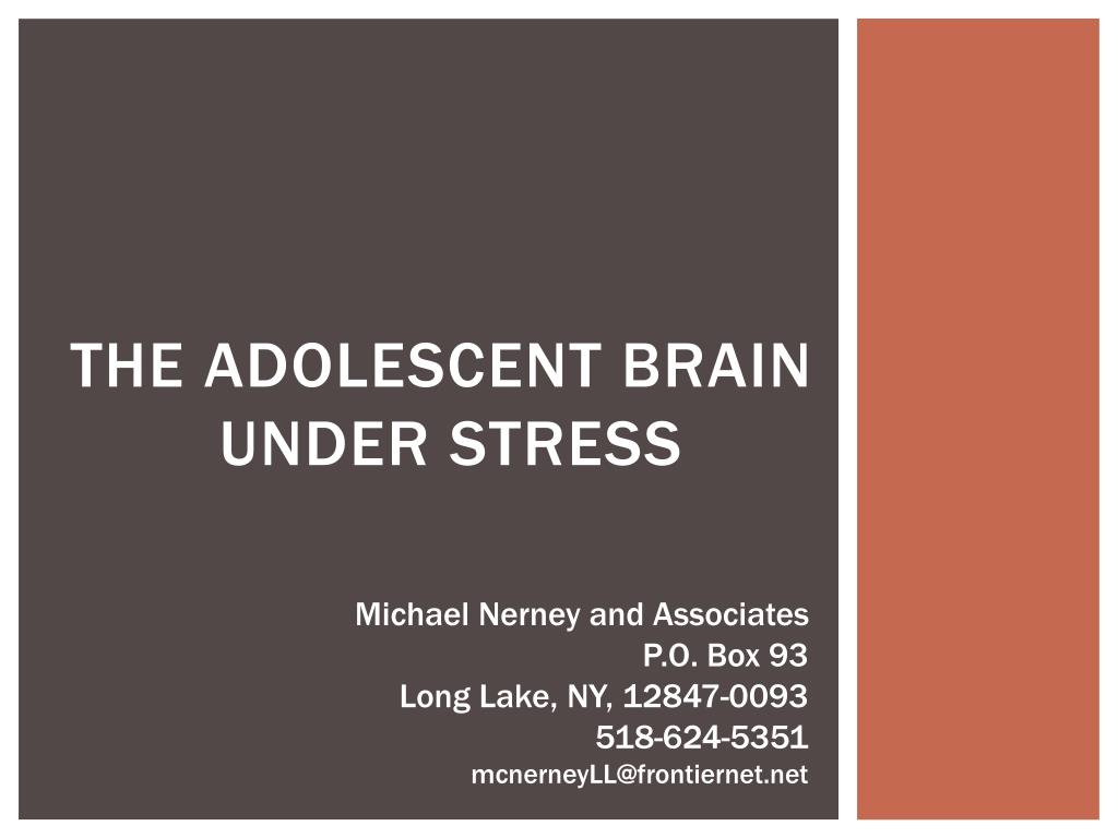 PPT - The adolescent brain under stress PowerPoint Presentation, free ...