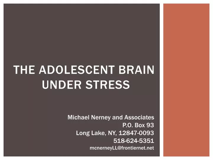 the adolescent brain under stress