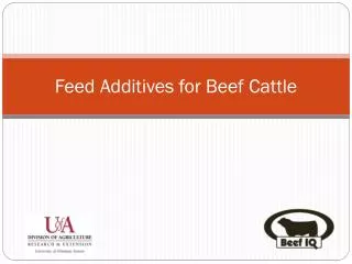 Feed Additives for Beef Cattle