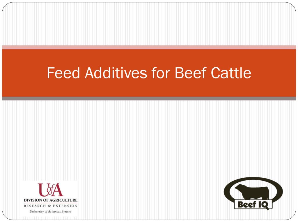 PPT - Feed Additives for Beef Cattle PowerPoint Presentation, free ...