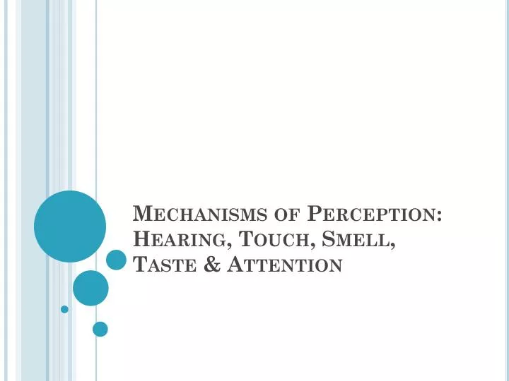 mechanisms of perception hearing touch smell taste attention