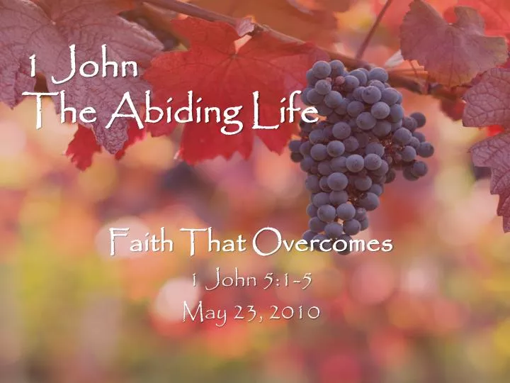 1 john the abiding life