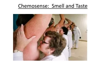 Chemosense : Smell and Taste