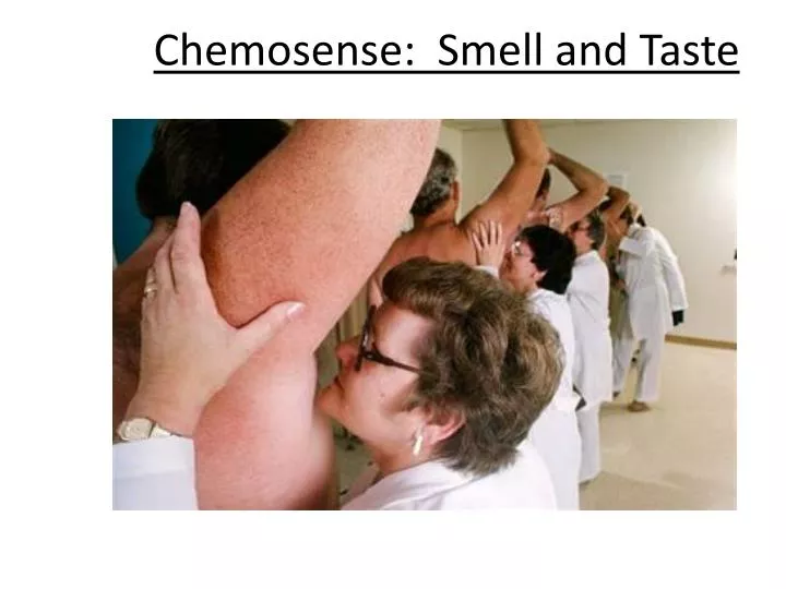 chemosense smell and taste