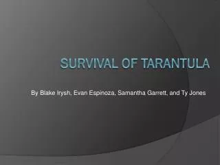 Survival of tarantula