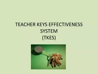 TEACHER KEYS EFFECTIVENESS SYSTEM (TKES)