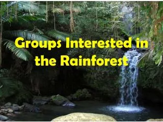 Groups Interested in the Rainforest