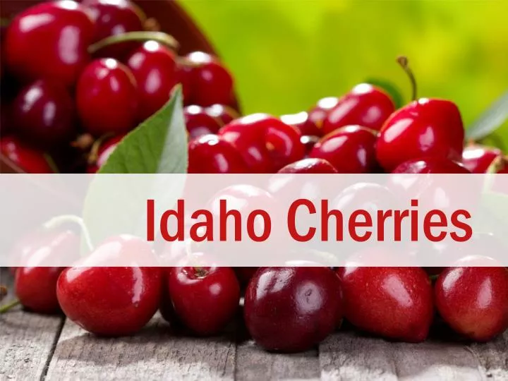 idaho cherries