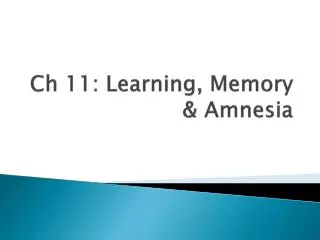 Ch 11: Learning, Memory &amp; Amnesia