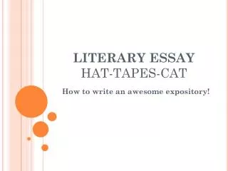 LITERARY ESSAY HAT-TAPES-CAT