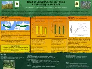 Effect of Climate Change on Tannin Levels in Aspen and Birch