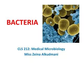 BACTERIA