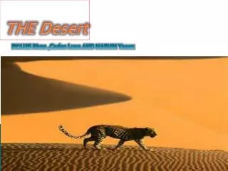THE Desert