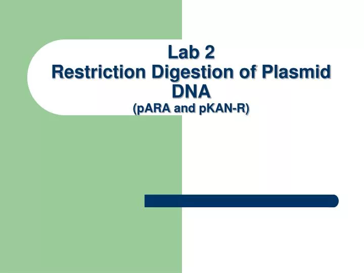 lab 2 restriction digestion of plasmid dna para and pkan r