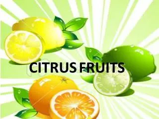 CITRUS FRUITS
