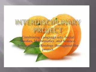Interdisciplinary Project