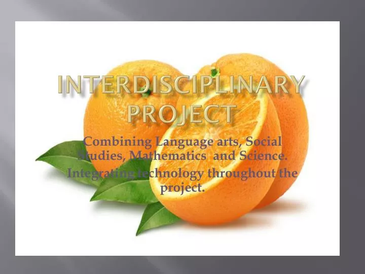 interdisciplinary project