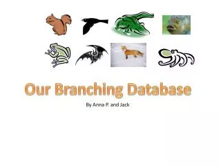 Our Branching Database