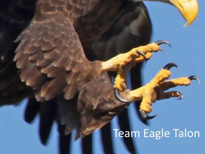 team eagle talon