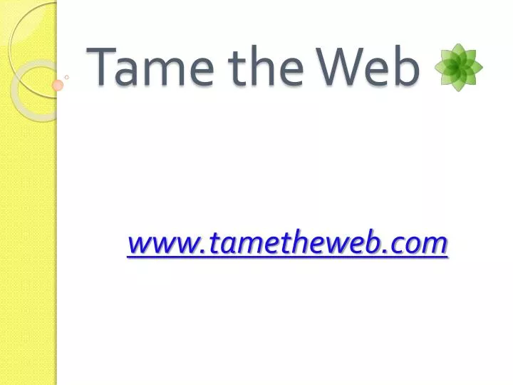 tame the web