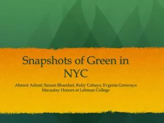 Snapshots of Green in NYC