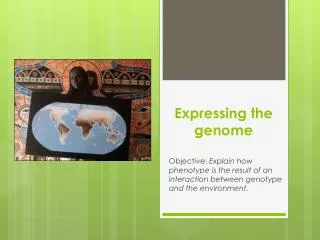 Expressing the genome