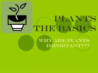 PLANTS the basics