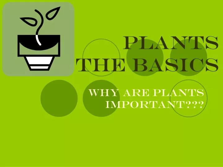 plants the basics