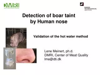 Detection of boar taint by Human nose