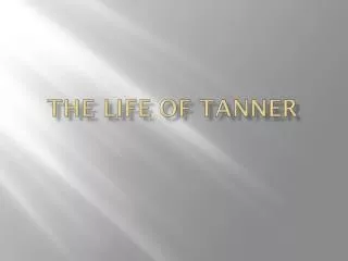 The life of tanner