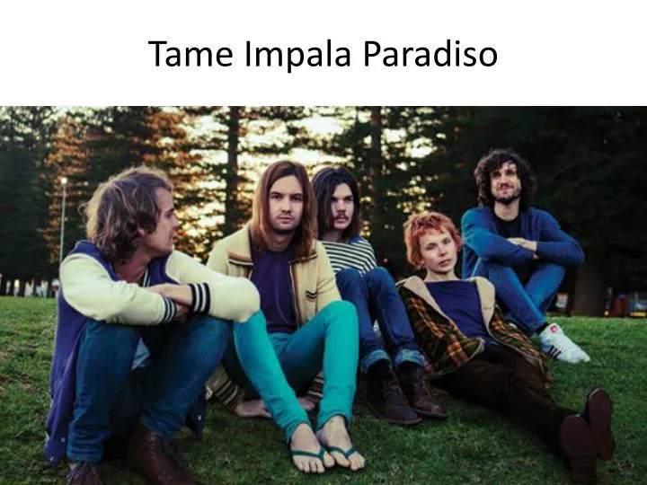tame impala paradiso