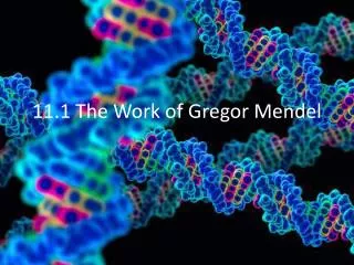 11.1 The Work of Gregor Mendel