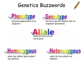 Genetics Buzzwords