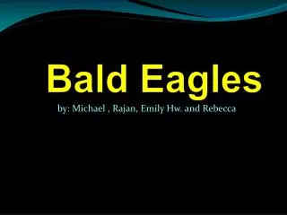 Bald Eagles