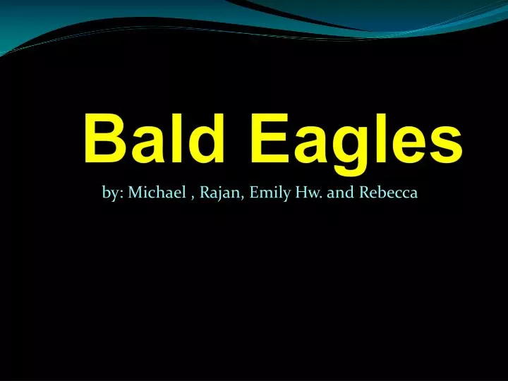 bald eagles