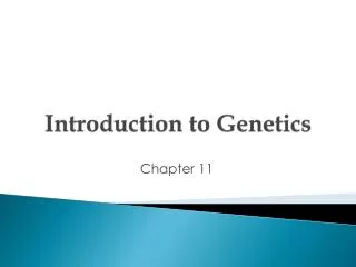 Introduction to Genetics