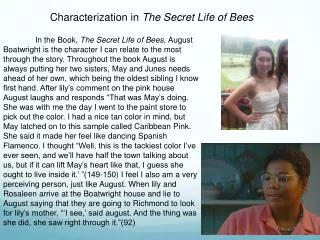 Characterization in The Secret Life of Bees