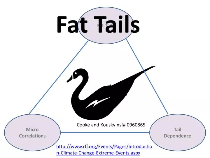 fat tails