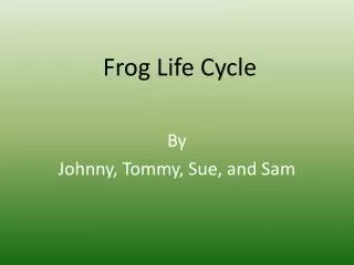 frog life cycle