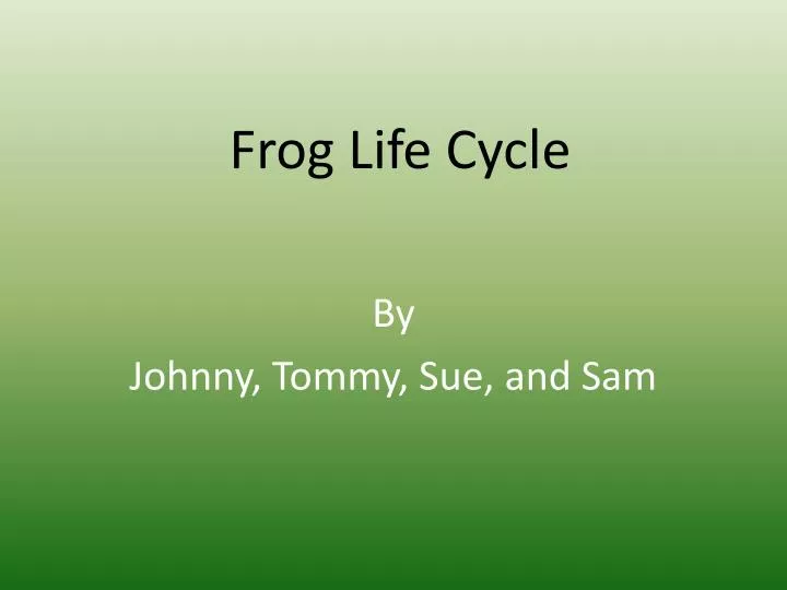 frog life cycle