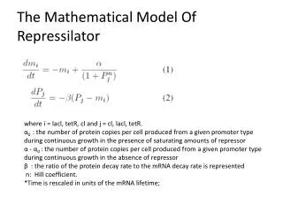 The Mathematical Model Of Repressilator