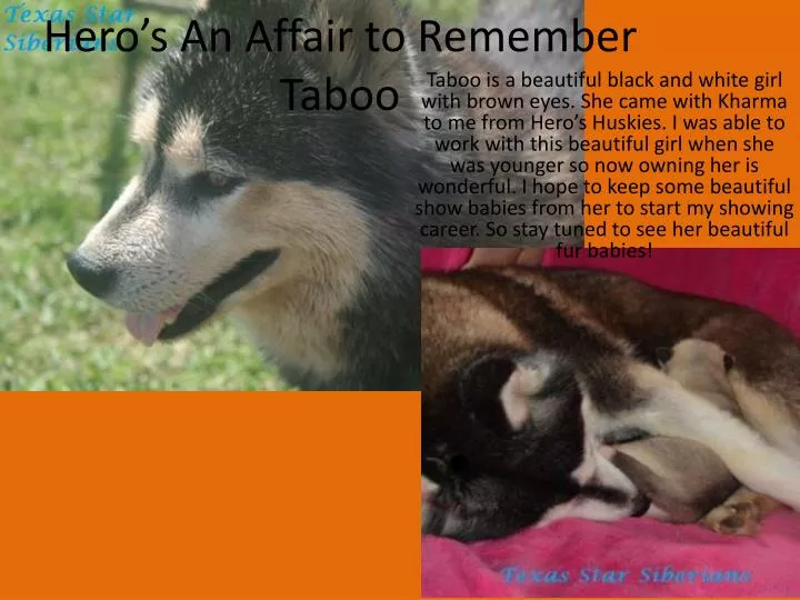 hero s an affair to remember taboo