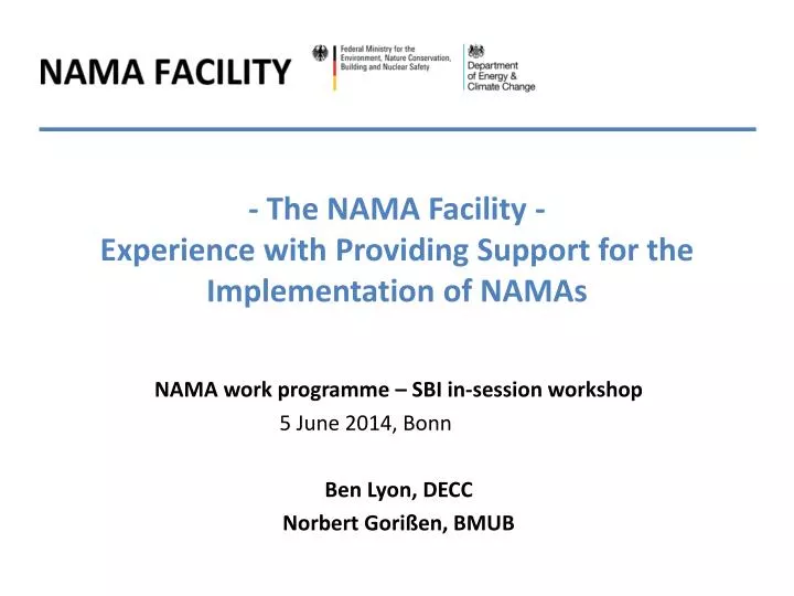 the nama facility experience with providing support for the implementation of namas