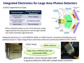 Integrated Electronics for Large Area P hoton Detectors
