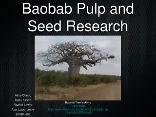 Baobab Pulp and Seed Research