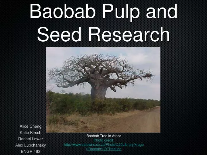 baobab pulp and seed research