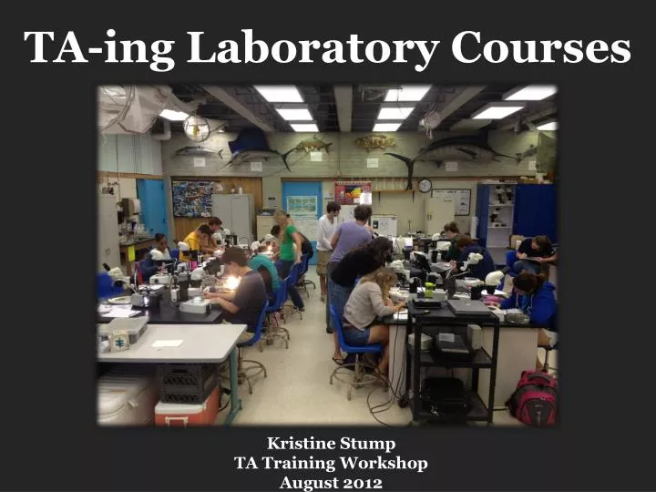 ta ing laboratory courses