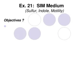 Ex. 21: SIM Medium (Sulfur, Indole , Motility)