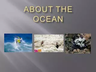 About the ocean